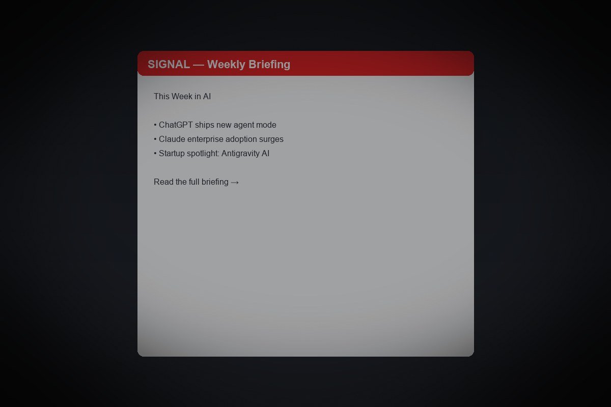 SIGNAL newsletter preview